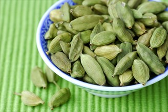 Cardamom (Elettaria cardamomum) in shell, seed capsules, seed capsule