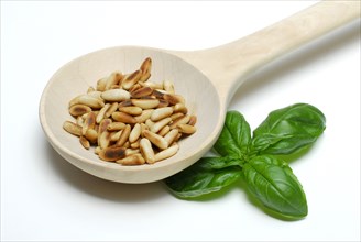 Roasted seeds (Pinus pinea) in wooden ladle, wooden spoon, wooden spoon