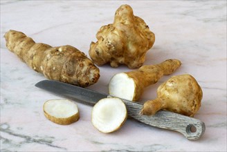 Jerusalem artichoke (Helianthus tuberosus) and knife, earth pear, earth artichoke