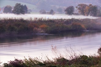 Weser, autumn fog, Lower Saxony, Germany, Europe