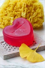 Rose soap, sponge and Ginkgoleaf (Ginkgo biloba), rose soap