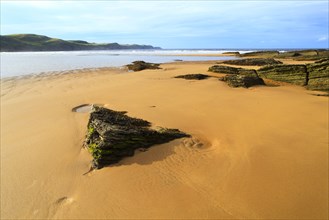 Beach, Sutherland, Scotland, Great Britain