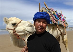 Morocco, dromedary driver, beach, Essaouira, Africa