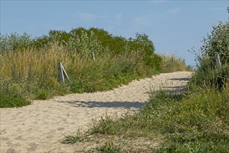 Beach access, south beach, Göhren, Rügen Island, Mecklenburg-Western Pomerania, Germany, Europe