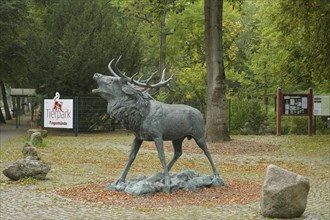 Bronze sculpture deer, zoo, Puschkinallee, Angermünde, Brandenburg, Germany, Europe