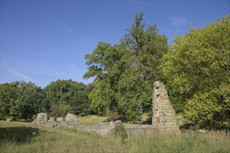 Ruin, former watermill, Chorin Monastery, Barnim district, Brandenburg, Germany, Europe