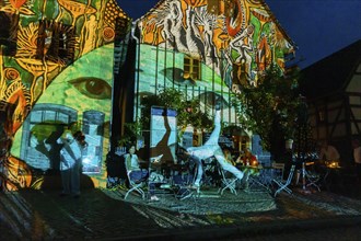 Midsummer Night's Dreams Projections by Claudia Reh, Florian Meyer, violin, Norbert Kegel dances