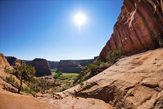 Backlight, sun, overview in Chelly Canyon National Park, Arizona, USA, North America