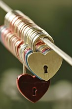 Love locks on a bridge railing, Bavaria, Germany, Europe