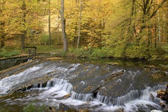 Seifersdorf valley