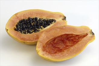 Pawpaw (Carica papaya), melon tree family, Caricaceae