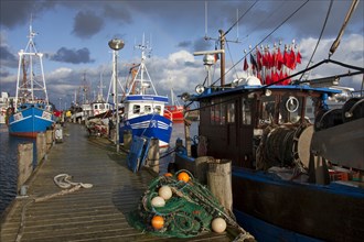 Fishing boats in the harbour of Sassnitz, Rügen Island, Mecklenburg-Western Pomerania, Germany,