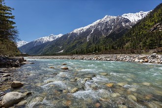 Baspa river in Himalayas mountains. Sangla Valley, Himachal Pradesh, India, Asia