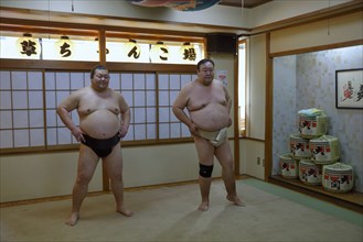 Sumo wrestler during training, Asakusa, Tokyo, Japan, Asia