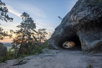 Sunrise at the Hamburg coat of arms, part of the Devil's Wall, sandstone cave, Timmenrode,