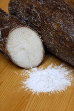 Cassavaroots and tapioca flour, roots (Manihot esculenta) starch, tapioca starch