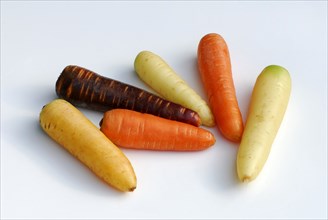 Various carrots, carrots, carrot