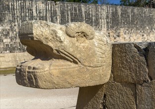 Carved stonework jaguar head with walls of the ball court, Juego de Pelota, Chichen Itzá, Mayan