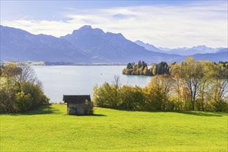 View of the Forggensee, Allgäu Alps, Allgäu, Bavaria, Germany, Europe