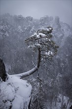 Saxon Switzerland