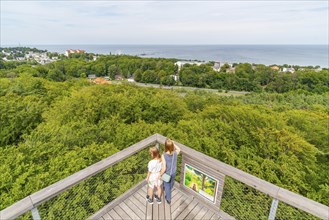 Woman and girl looking from the treetop walk Usedom to the Baltic Sea, Baltic resort Heringsdorf,