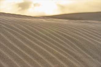 Beach "Platja del Fangar", sand dunes, Vegetation, nature reserve, ebro delta, Catalonia, Spain,