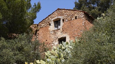 Old stone and red clay house, shrubs, cacti, blue sky, Madonie National Park, Sicily, Italy, Europe