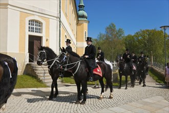 Every year at Easter there are about 5 processions in Lusatia, each with about 200 riders. The