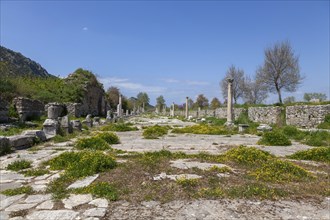 Arcadian, harbour road, ancient excavation site of Ephesus, Izmir province, Turkey, Asia