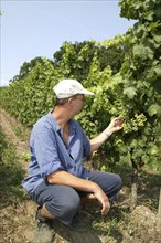 Winemaker Jan Ullrich has been growing grapes on around 10 hectares of vineyards on the Saxon Wine