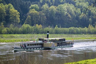 Elbe steamers in Saxon Switzerland