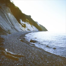 The visit to the landscapes on Ruegen, here on 04.07.1994, often revealed blossoming landscapes