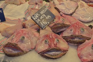 Monkfish, Mercat Municipal de l'Olivar municipal market, Palma, Mallorca, Balearic Islands, Spain,