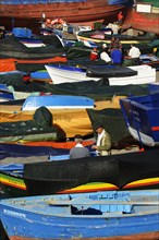 Fishing boats in the harbour, Camara de Lobos, Madeira, Portugal, Europe