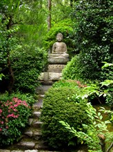 Buddha statue, Ryoan Ji Temple, Ukyo Municipality, Kyoto, Japan, Asia