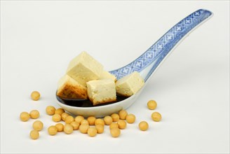 Tofu cubes with sauce on spoon, curd, bean curd, sauce, sauce, Sojabean