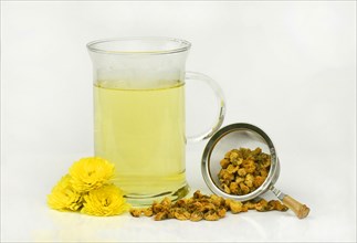 Tea glass with chrysanthemum tea, tea strainer (Chrysanthemum hybrid), chrysanthemum tea