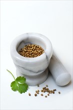 Corianderseed (Coriandrum sativum), mortar