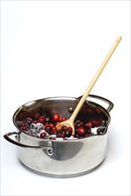 Cranberries with sugar (Vaccinium macrocarpon) , cranberry, wooden spoon, cooking spoon, granulated