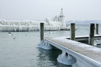 Iced port entrance, ice layer, ice shield, Lake Geneva, Versoix, Canton Geneva, Switzerland, Europe