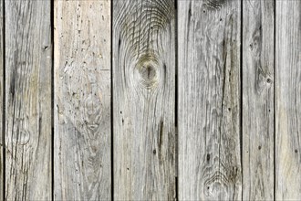 Vertical old wooden planks background