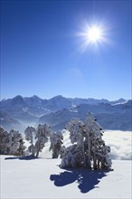 Bernese Alps, View from the Niederhorn, Bernese Oberland, Switzerland, Europe