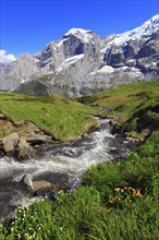 Roselauital, Wellhorn, Bernese Oberland, Switzerland, Europe