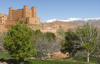 Morocco, Dades Valley, Valley of the Kasbahs, Dades Gorge, Kasbah Ait Youli, High Atlas Mountains,