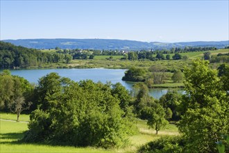 Mindelsee, nature reserve, Radolfzell, Lake Constance, Baden-Württemberg, Germany, Europe