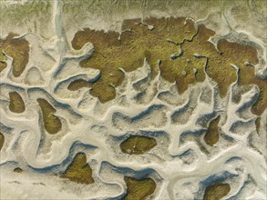 Network of dry channels and streams at low tide, in the marshland of the Bahía de Cádiz, aerial