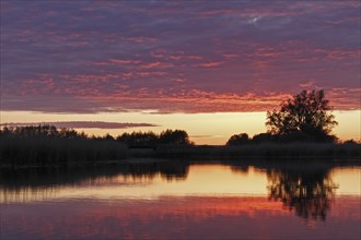 Clouds in the sunset with reflection on the river Trebel, Naturpark Flusslandschaft Peenetal,