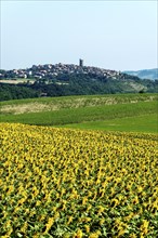 Village of Montpeyroux labelled Les Plus Beaux Villages de France, Puy de Dome,