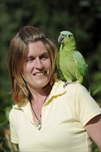 Woman with Salvadori miller amazon (Amazona farinosa virenticeps), France, Europe