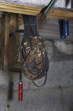 Eurasian Wren (Troglodytes troglodytes) feeding hatchlings in nest made in tangled electric wire in